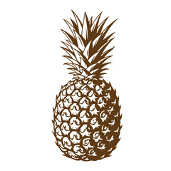 Obraz premium Detailed brown pineapple vector illustration isolated on white background for design projects