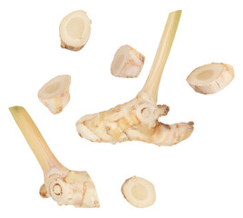 photograph of fresh galangal rhizomes, also known as thai ginger, laos ginger or lesser ginger, arranged on a transparent background.