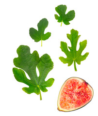 captivating photograph showcasing fig leaves and a halved fig fruit on a transparent background, highlighting the fruit's vibrant color and delicate texture.