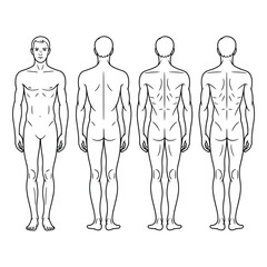 Sketch of a male figure in four different anatomical views