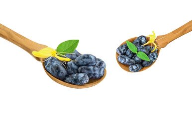 spoonfuls of fresh honeysuckle berries with leaves and blossoms, captured in a studio shot on black, ideal for botanical and culinary themes