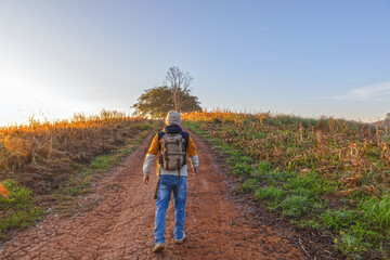 Person, hiking with backpack walks along old cornfield.  healthy and walking for fitness