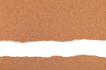 Torn Paper Texture on Cardboard. Torn Paper Texture on Cardboard. High quality photoReal torn paper texture on cardboard background. Perfect for collage design, posters, branding, scrapbooking