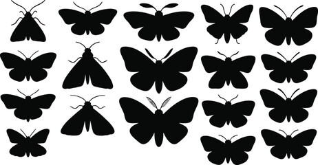 Butterfly and moth silhouettes, insect icons, wing shapes, entomology design, nature clipart, vector insects, biodiversity illustration, Lepidoptera graphic © Hey There