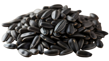 sunflower seeds isolated on white background