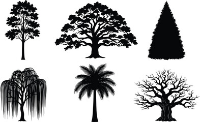 Obraz premium Collection of diverse tree silhouettes vector illustration including palm, willow, pine, leafless, rounded canopy for landscape and botanical design