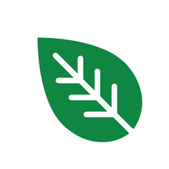 Fototapeta premium Green leaf, ecology icon, nature