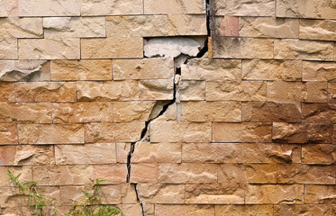 Cracked old brown wall background with green grass growing
