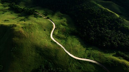 Serene winding path through lush hills