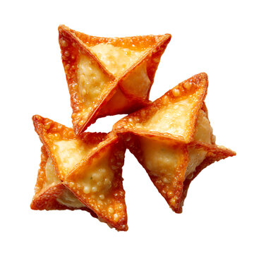 Crab rangoon png