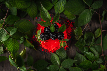 Red blackberry cake on dark wooden background. Selective focus.