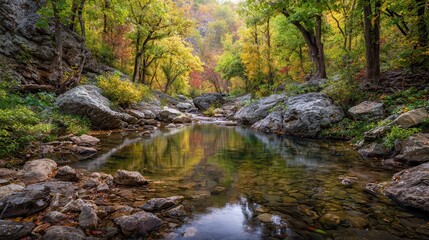 Tranquil Autumn Forest Stream Reflecting Trees With Colorful Foliage Rocks And Fallen Leaves In Warm Sunlight