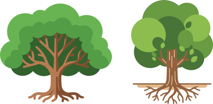 Two stylized illustrations of healthy trees, one with dense foliage and prominent roots, the other with fuller, rounder leaves and visible root system