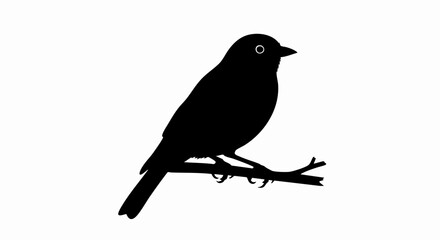 Obraz premium Silhouette of a small bird perched on a branch.