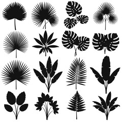 Silhouetted Tropical Leaves A Collection of Exotic Foliage.