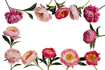 Pink Peony Flowers Border Frame with Green Leaves