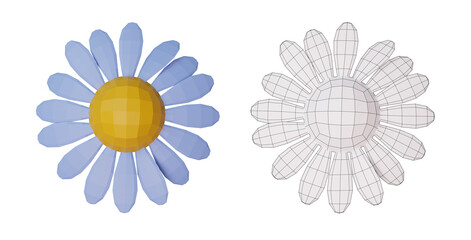 3d render with blue cartoon low poly daisy and white wireframe daisy isolated on white or transparent background, top view.
