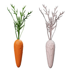 3d render with cartoon low poly carrot and wireframe carrot isolated on white or transparent background.