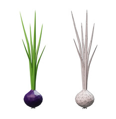 3d render with cartoon low poly onion and wireframe onion isolated on white or transparent background.