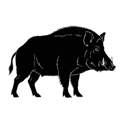 Fototapeta premium Silhouette of a Wild Boar with Prominent Tusks 1.