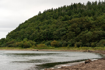 Densely forested hillside rises along a quiet riverbank under a cloudy sky, emphasizing natural scenery and untouched wilderness. Izmenchivoye lagoon lake in east of southern tip of Sakhalin Island