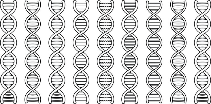 Black and white D N A helix strands genetic science