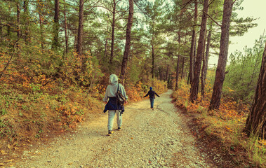 Obraz premium walk in the forest in autumn 