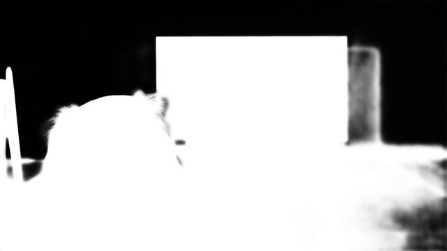 Abstract black and white image with a large white rectangle in the center surrounded by dark and light shapes.