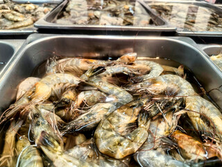 Fresh raw prawns submerged in clear water within a stainless steel tray at a seafood market.
