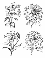 Fototapeta premium Four Different Hand Drawn Flower Illustrations.