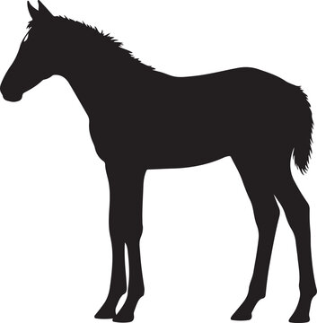 Cute Foal Silhouette, Baby hourse icon, Foal silhouette