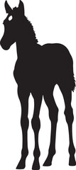 Obraz premium Cute Foal Silhouette, Baby hourse icon, Foal silhouette