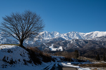 初冬の北アルプス快晴の空　長野県白馬村 © RATM