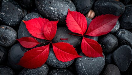 Vibrant red leaves on dark stones