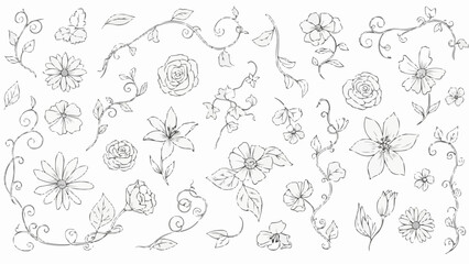 Collection of Hand Drawn Floral Elements and Botanical Illustrations.