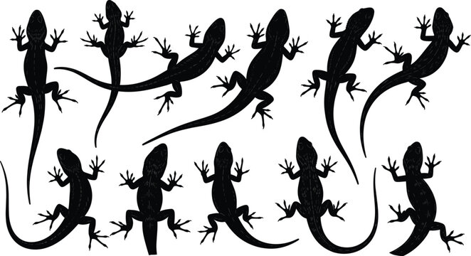 Set of 11 realistic lizard and gecko silhouette icons featuring various crawling and climbing poses for nature branding reptile education and wildlife graphic design
