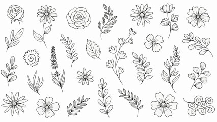 Collection of Hand Drawn Botanical Elements and Floral Illustrations.
