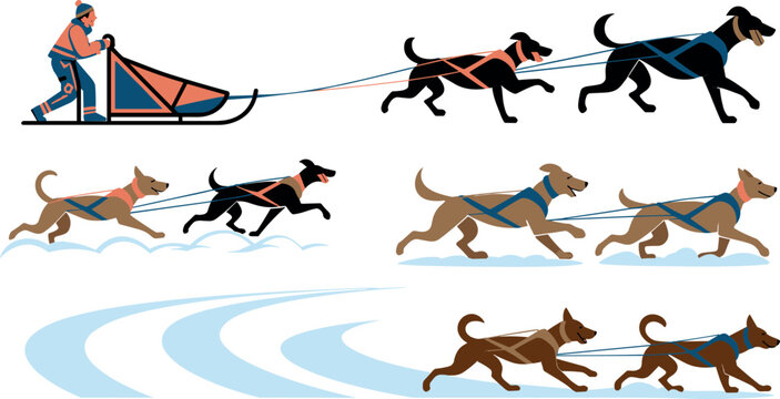Flat Vector Illustration of Dog Sledding Mushers and Sled Dogs Running in the Snow