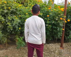 The Back View of a Boy Standing Before a Large Bush of Marigolds