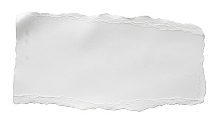 Fototapeta premium Blank Torn White Paper Piece With Rough Edges