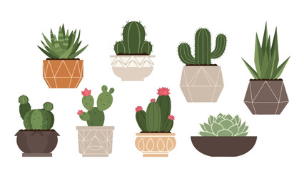 Fototapeta premium Collection of Various Potted Cacti and Succulent Plants in Decorative Geometric Planters