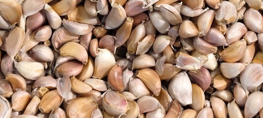 Garlic is a herb and spice that is often used in many dishes.