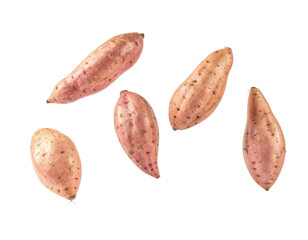 Collection of Raw Sweet Potatoes with Unique Textures and Colors on Transparent Background