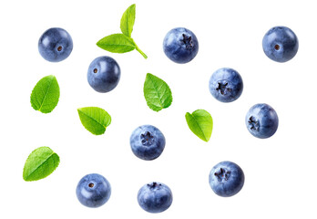 overhead photograph of fresh blueberries with leaves scattered on a black backdrop, ideal for healthy eating or organic food concept designs © Ian