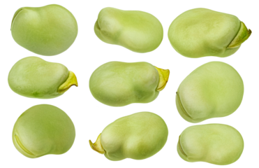 fresh green fava beans photograph, perfect for illustrating healthy eating and vibrant vegetarian cuisine with natural texture and color.