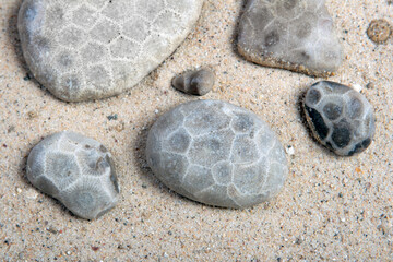 Fossilized Petoskey stones laying on beach sand