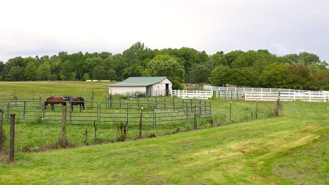Scenic Michigan state university tollgate farm and horses in Farmington Hills , Michigan