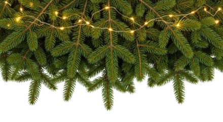 Christmas tree branches with fairy lights transparent background cutout png