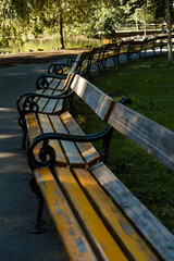 Row of benches by pond at Stadtpark, Vienna