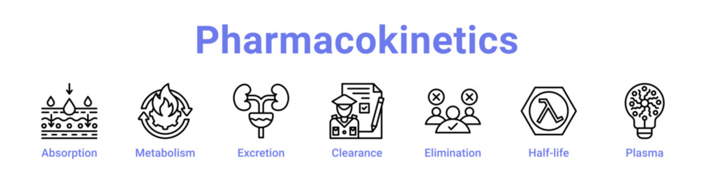 Pharmacokinetics Icon Banner Line Art